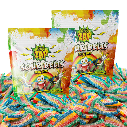 SourZap Sour Belts | 16-Ounce Pack | Rainbow Bite-Size Gummy Candy | Assorted Fruit Flavors